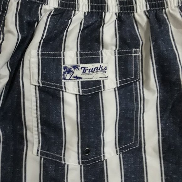 Trunks Surf & Swim Co. Swim Trunks Surf Swim Co Mens Blue White Striped Swim Trunks Poshmark